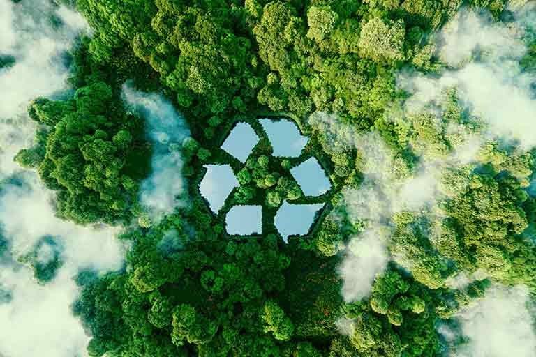 sustainable junk removal and recycling blogs