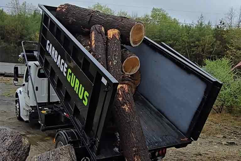 yard waste dumpster rental service from Garbage Gurus in Worcester County, MA